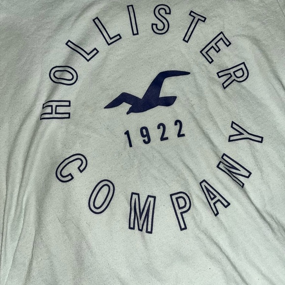 Hollister Light Blue Logo Tee - Picture 3 of 9